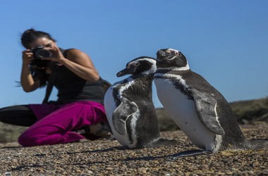 Península Valdés + Estancia San Lorenzo